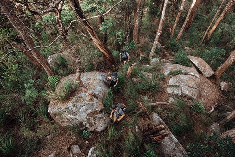 Cairns Rainforest Hiking Experience Incredible Mountains Remote Waterfall - Accommodation Nelson Bay 1
