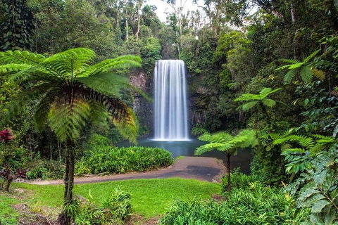 Cairns & Port Douglas All-Inclusive 7 Days Touring Package - Accommodation Nelson Bay 5