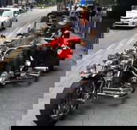 Unique vehicle tour around Brisbane - Accommodation Nelson Bay