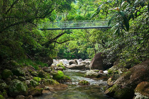 SHUTTLE - Mossman Gorge & Cooya Beach From Port Douglas (Return Transfer) - Accommodation Nelson Bay 4