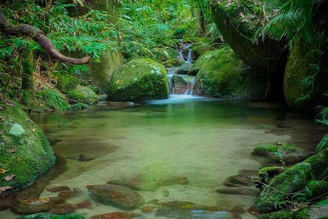 SHUTTLE - Mossman Gorge & Cooya Beach From Port Douglas (Return Transfer) - Accommodation Nelson Bay 2