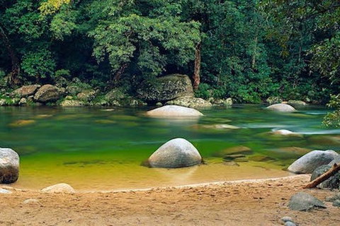 SHUTTLE - Mossman Gorge & Cooya Beach From Port Douglas (Return Transfer) - Accommodation Nelson Bay 1
