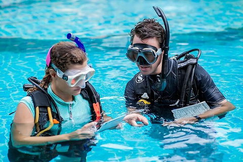 PADI Diving Courses On The Gold Coast - Accommodation Nelson Bay 0