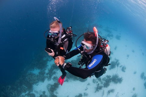 PADI Diving Courses On The Gold Coast - Accommodation Nelson Bay 5