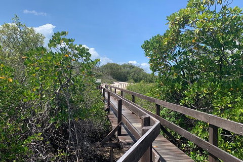 Hinchinbrook Island Tour - Accommodation Nelson Bay 4