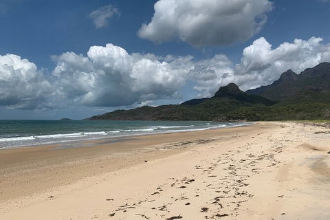 Hinchinbrook Island Tour - Accommodation Nelson Bay 3
