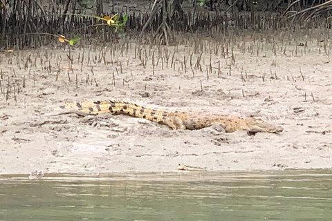 Hinchinbrook Island Tour - Accommodation Nelson Bay 2