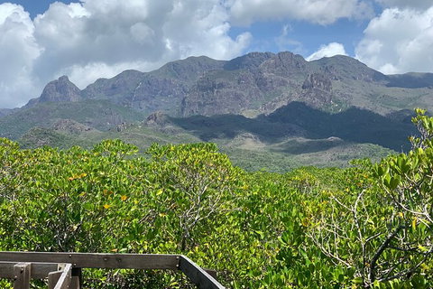 Hinchinbrook Island Tour - Accommodation Nelson Bay 0