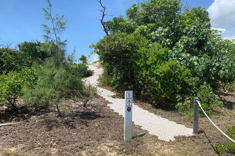 Hinchinbrook Island Tour - Accommodation Nelson Bay 1