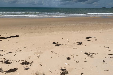 Hinchinbrook Island Tour - Accommodation Nelson Bay 6