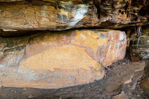 Half Day Aboriginal Rock Art Experience In Queensland - Nelson Bay Accommodation.com 3
