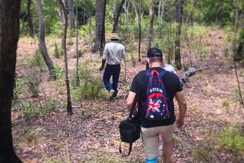 Half Day Aboriginal Rock Art Experience In Queensland - Nelson Bay Accommodation.com 5