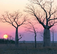 8-Day Outback Experience from Queensland - Accommodation Nelson Bay