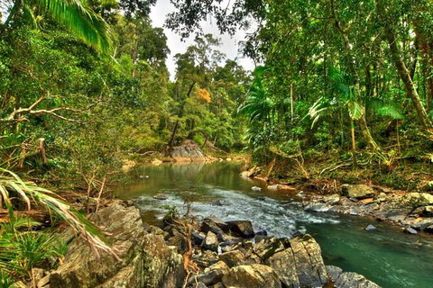 8-Day Outback Experience From Queensland - Accommodation Nelson Bay 11