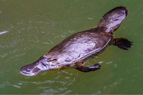 8-Day Outback Experience From Queensland - Accommodation Nelson Bay 15