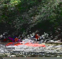 Mossman Gorge Adventure Day - Accommodation Nelson Bay