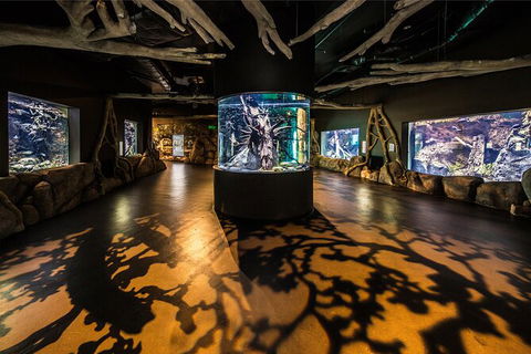 Cairns Aquarium Tour By Twilight With Drink And Appetiser - Accommodation Nelson Bay 4