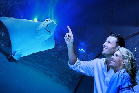 Cairns Aquarium Tour By Twilight With Drink And Appetiser - Accommodation Nelson Bay 0