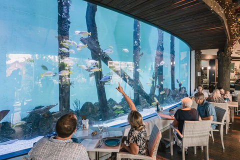 Cairns Aquarium Tour By Twilight With Drink And Appetiser - Accommodation Nelson Bay 1