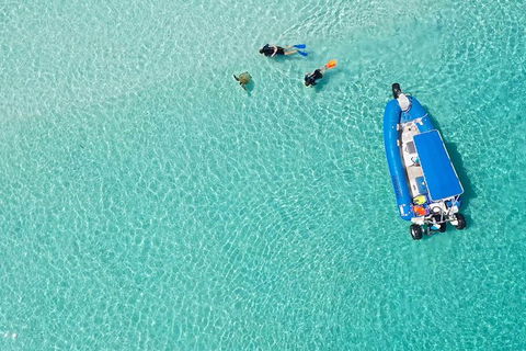 Remote Fraser Island & Whale Experience - Accommodation Nelson Bay 0