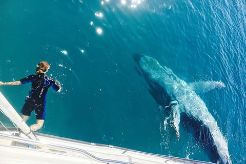Remote Fraser Island & Whale Experience - Accommodation Nelson Bay 4