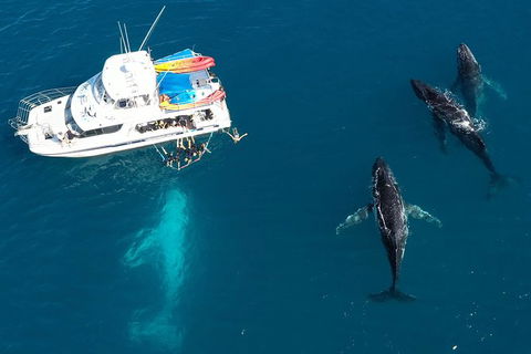 Remote Fraser Island & Whale Experience - Accommodation Nelson Bay 3