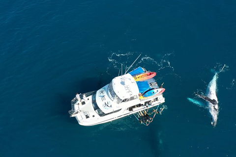 Remote Fraser Island & Whale Experience - Accommodation Nelson Bay 1