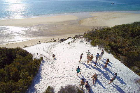 Remote Fraser Island & Whale Experience - Accommodation Nelson Bay 2