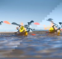 Kangaroo Island Self-Guided Kayaking on the Harriet River - Accommodation Nelson Bay