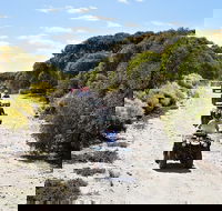Quad Bike ATV Tours - Accommodation Nelson Bay