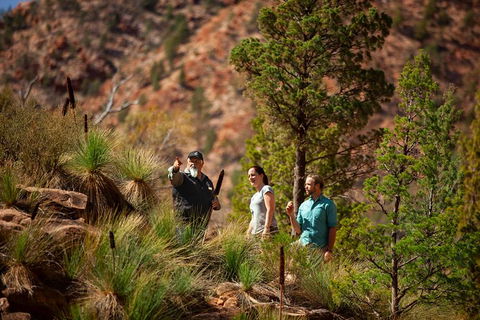 3-Night Wilpena Pound Getaway Including Scenic Flight And 4WD Tour - Accommodation Nelson Bay 0