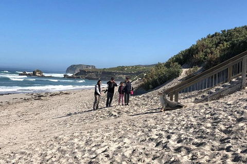 Kangaroo Island 4WD - Seal Bay - Accommodation Nelson Bay 2