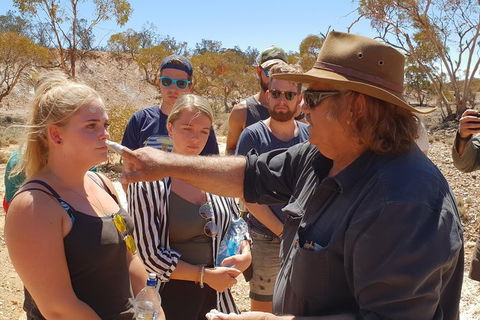 10 Day Adelaide To Alice Springs Adventure - Accommodation Nelson Bay 9