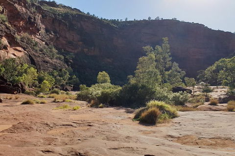 10 Day Adelaide To Alice Springs Adventure - Accommodation Nelson Bay 7