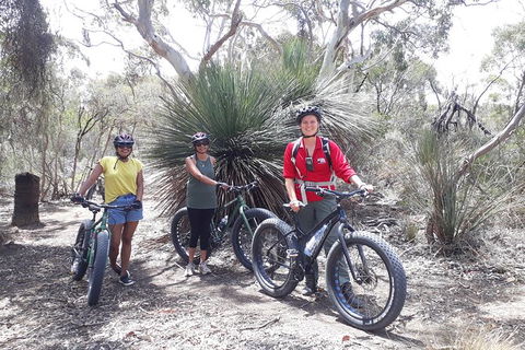 Kangaroo Island 2 Hour Bike Tour - Accommodation Nelson Bay 5