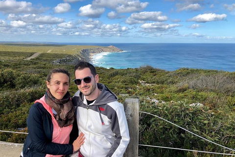 NEW TOUR - Flinders Chase Tour (Recovering From Fires) - Accommodation Nelson Bay 3