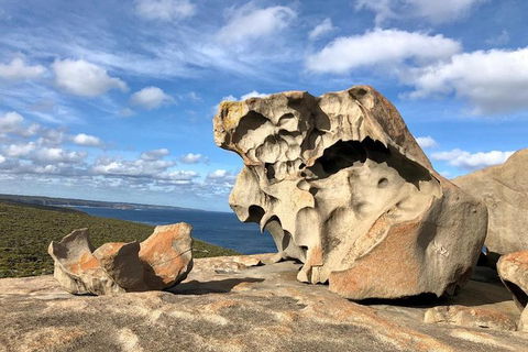 NEW TOUR - Flinders Chase Tour (Recovering From Fires) - Accommodation Nelson Bay 2