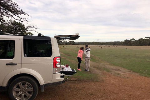 NEW TOUR - Flinders Chase Tour (Recovering From Fires) - Accommodation Nelson Bay 6