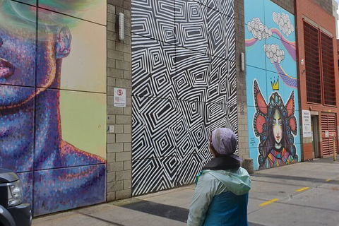 Jimmy C Street Art Walking Tour - Accommodation Nelson Bay 2
