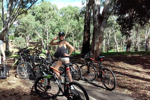Adelaide City And Parklands Bike Tour - Half Day - Accommodation Nelson Bay 3