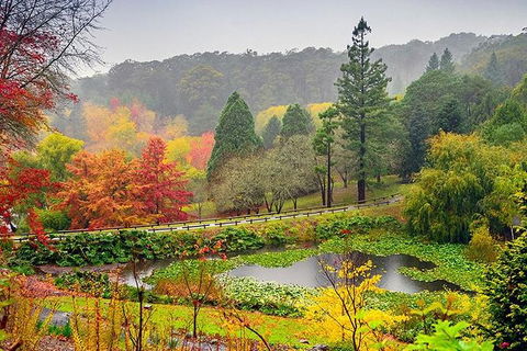 6 Days Adelaide All-Inclusive Touring Package - Accommodation Nelson Bay 1