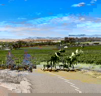 E-Bike Hire  Barossa Valley - Accommodation Nelson Bay
