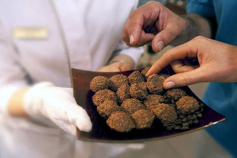 Explore Adelaide City Tour: Haigh\'s Tasting Chocolate & Adelaide Oval Tour - Accommodation Nelson Bay 4