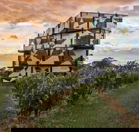 8-Hour McLaren Vale Winery Tour from Adelaide - Accommodation Nelson Bay