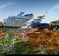 Adelaide Hills Full Day Winery Tour with Tastings - Accommodation Nelson Bay