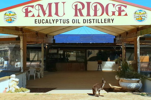 Full-Day Kangaroo Island Safari From Penneshaw - Accommodation Nelson Bay 3