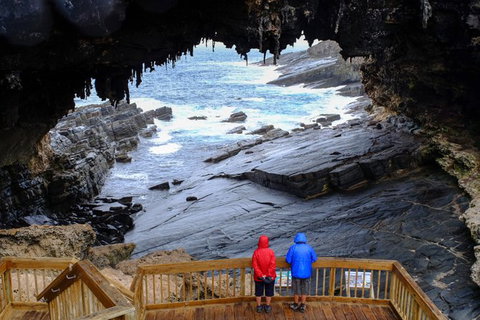 Full-Day Kangaroo Island Safari From Penneshaw - Accommodation Nelson Bay 1