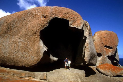 Full-Day Kangaroo Island Safari From Penneshaw - Accommodation Nelson Bay 0