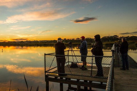Small-Group River Murray Dark Sky And Sunset Tour With Dinner - Accommodation Nelson Bay 2