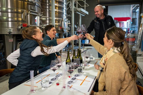 Winemaker Experience - Accommodation Nelson Bay 0